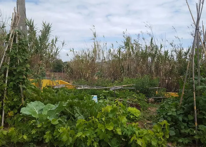 Moinho16 - Lisbon Mills * Oeiras