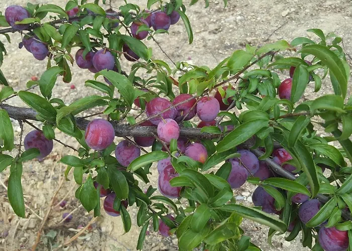 Moinho16 - Lisbon Mills Oeiras