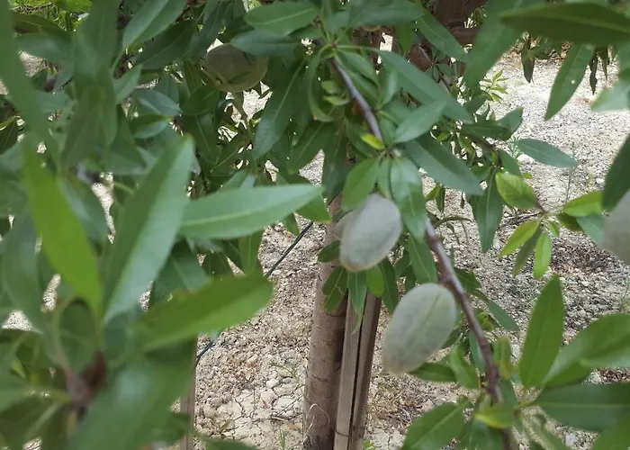 Moinho16 - Lisbon Mills * Oeiras