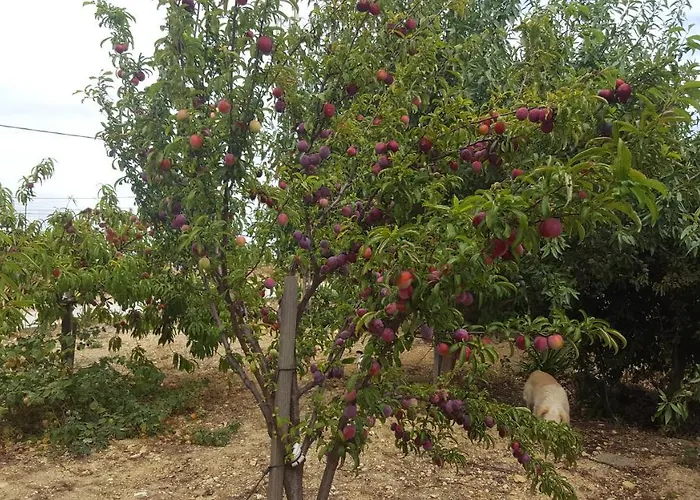 Moinho16 - Lisbon Mills Venkovský dům